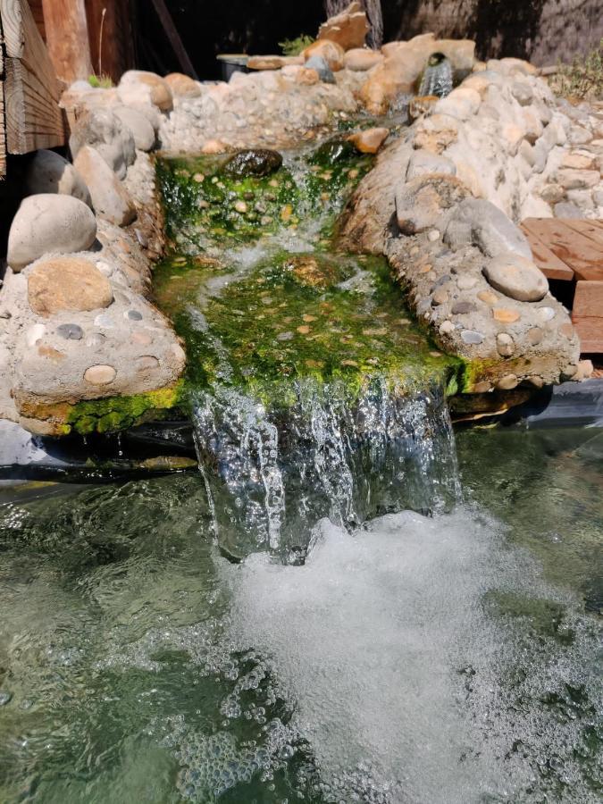 L'Etang Des Cigales Appartement Uchaux Buitenkant foto