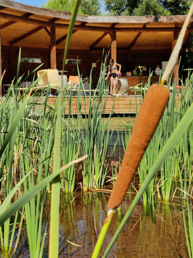 L'Etang Des Cigales Appartement Uchaux Buitenkant foto